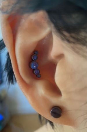 Titanium Single Flare Plug Customer Photo